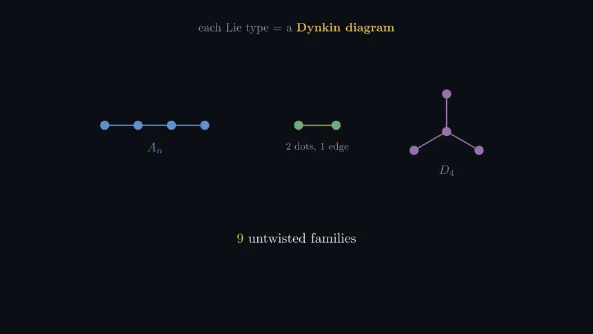 沿 Dynkin 图的对称